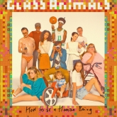 glass animals, how to be a human being